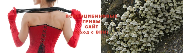 дживик Белокуриха