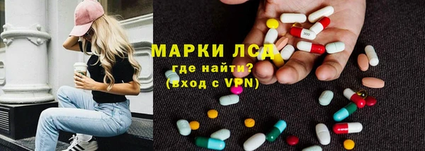 спайс Аркадак