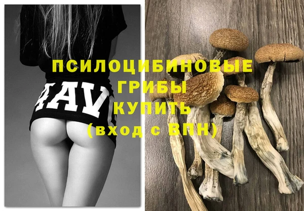 мяу мяу мука Арсеньев