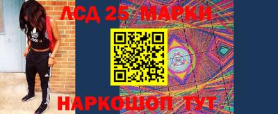 apvp Вязьма