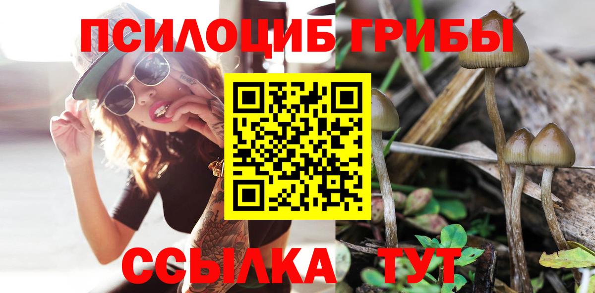 Псилоцибиновые грибы Psilocybine cubensis Белорецк