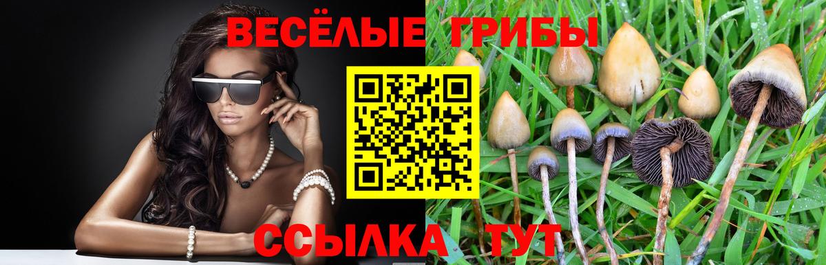 Псилоцибиновые грибы Cubensis  Псилоцибиновые грибы Psilocybe  Вход с VPN  Белорецк 